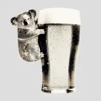 Koala Loves Beer - design