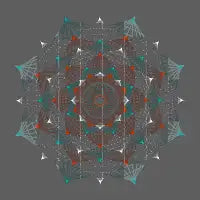 L.O.T.U.S. - design