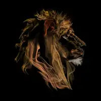 Lion Fumes - design