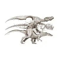 MISTER REX - design