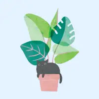 Monstera Cat - design
