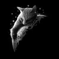 MOONCAT 2018 - design