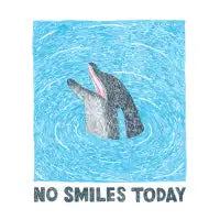 No Smiles Today - design