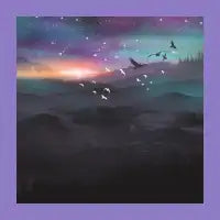 Northern Sky - design