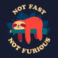 Not Fast, Not Furious - design