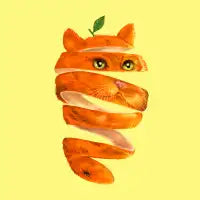 Orange Cat - design