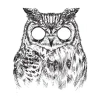 Owltical Illusion - design