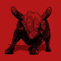 Party Animal - design