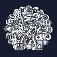 Peacock at Night - design