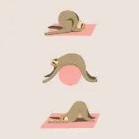 pi-sloth-tes - design