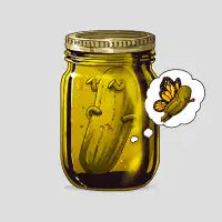 Pickle Metamorphosis - design