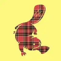 Plaid-apus - design