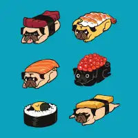 Pug Sushi - design