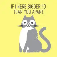 Purrfectly Honest - design