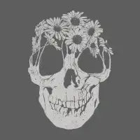 Pushing Daisies - design