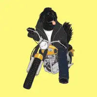 Ruff Rider Button - design