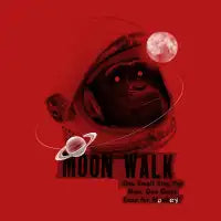 Space Monkey Notebook - design