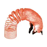 Spring Fox - design