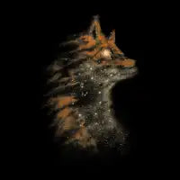 Star Fox T-Shirt - design
