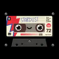 Stardust - Vo Maria - design