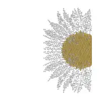 Sunflower - design
