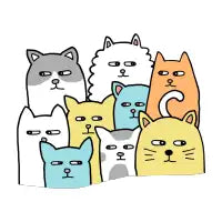 Suspicious Meow - design