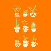Teacup Succulents - design