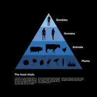 The Food Chain - design