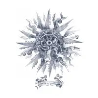 The Immoral Compass - design