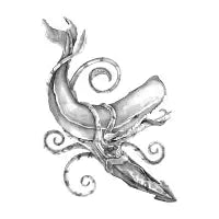 The Squid vs. The Whale - design
