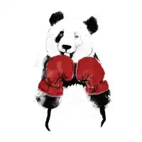 The Winner - design