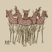These Trees Stand Tall - design
