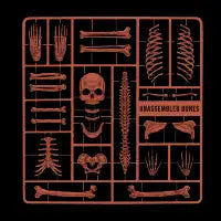 Unassembled Bones - design