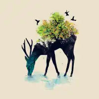 Watering (A Life Into Itself) - design