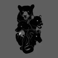 We Own the Night - design
