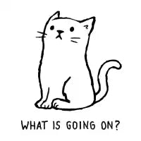 What Is Going On? - design