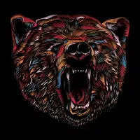 WILD BEAR - design