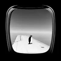 Window Seat - Ross Zietz - design