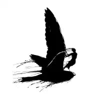 Windsurfingbird - design