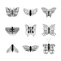 wright's butterflies - design