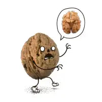 Zombie Walnut - design