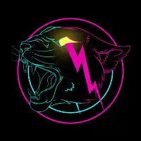 Cyber Leopard - design