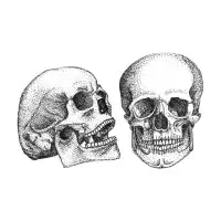 Face to Face - design