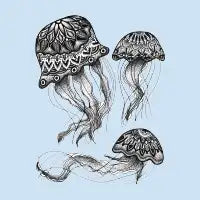 Jellyfish - design