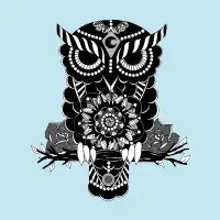 Night Owl - design