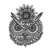 Owl Mandala - design