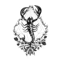 Scorpio - design