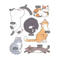 Catspotting - design