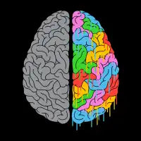 A Brain of Two Halves - design