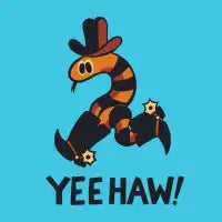 COWBOY SNAKE - design